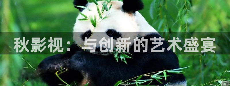 九九热视频网播放：秋影视：与创新的艺术盛宴