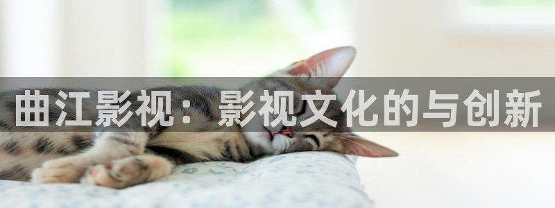 九九在线视频免费观看：曲江影视：影视文化的与创新