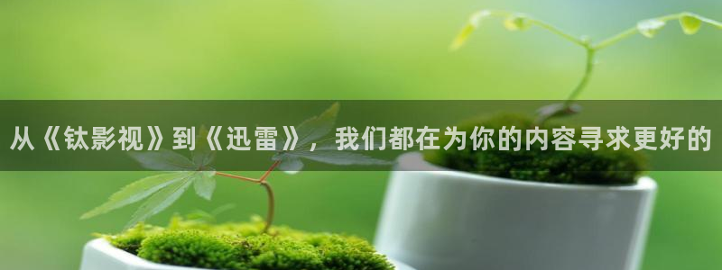 九九热视频看看：从《钛影视》到《迅雷》，我们都在为你的内容寻求更好的