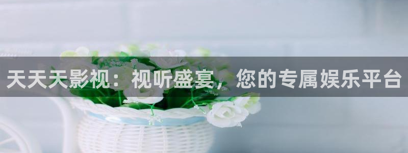 九九影院久久理论影院：天天天影视：视听盛宴，您的专属娱乐平台