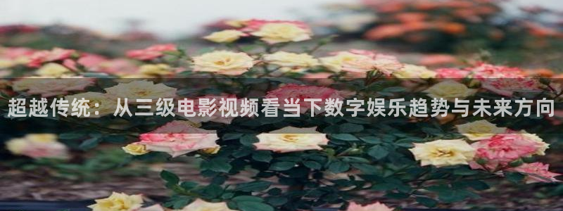九九影视在线观看电视剧：超越传统：从三级电影视频看当下数字娱乐趋势与未来方向