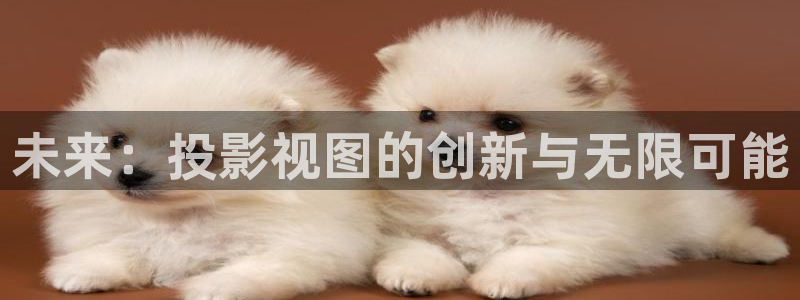 九九精品视频在线免费观看：未来：投影视图的创新与无限可能